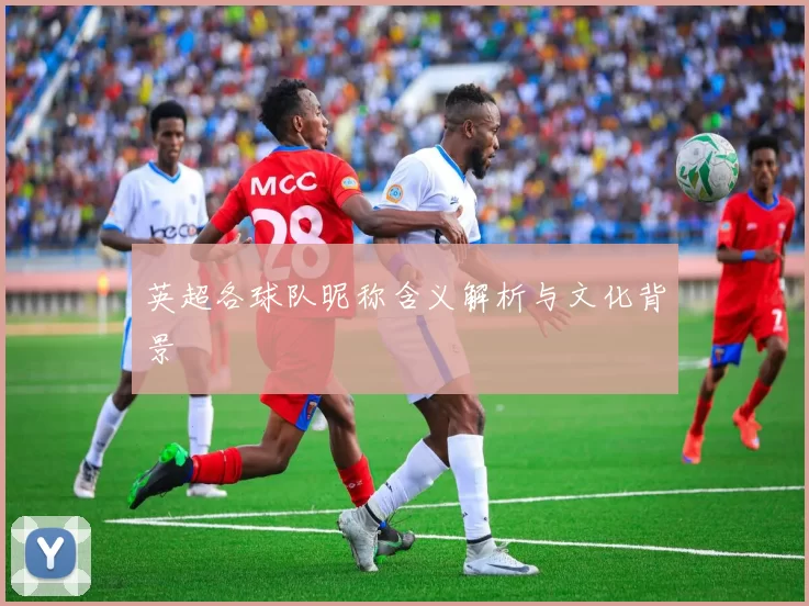 英超各球队昵称含义解析与文化背景