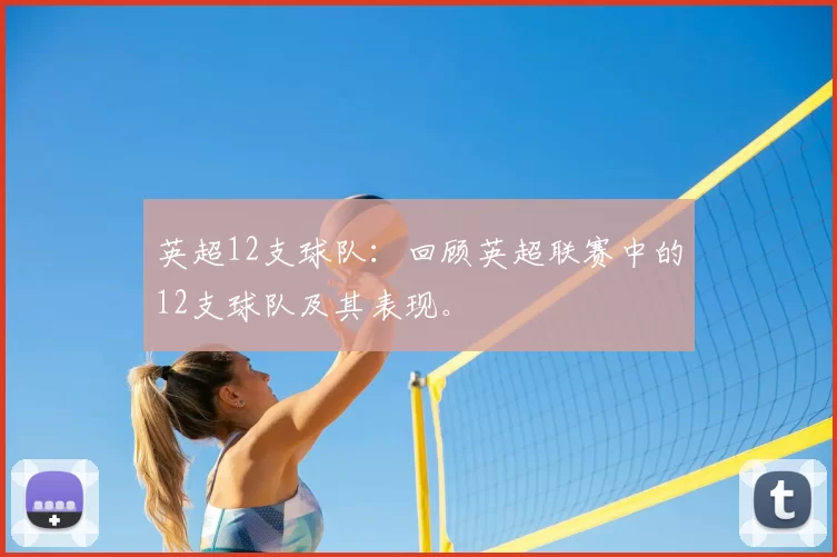 英超12支球队:回顾英超联赛中的12支球队及其表现。