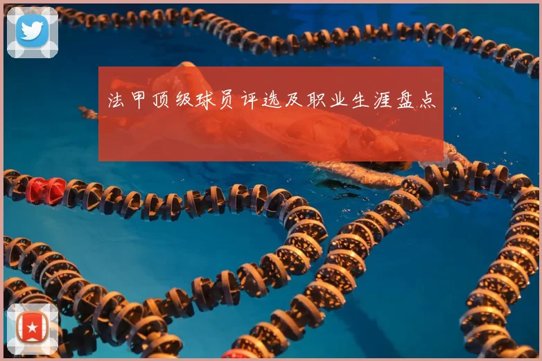 法甲顶级球员评选及职业生涯盘点