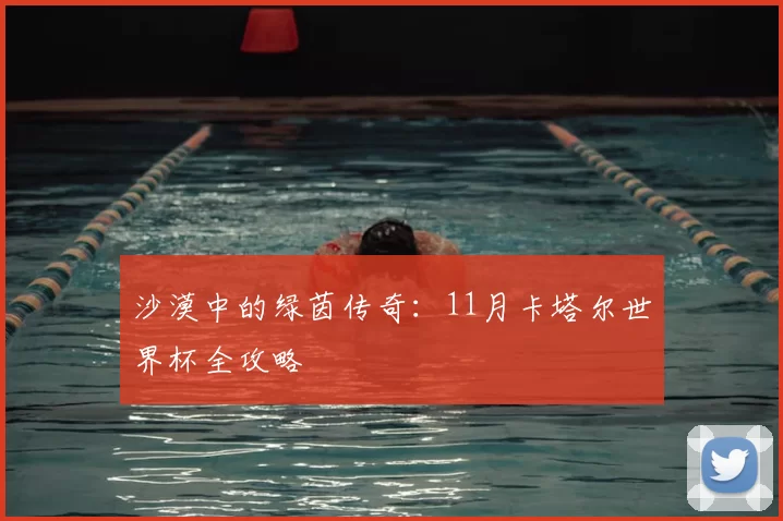 沙漠中的绿茵传奇:11月卡塔尔世界杯全攻略