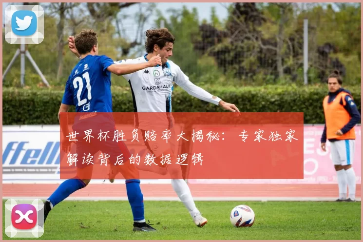 世界杯胜负赔率大揭秘:专家独家解读背后的数据逻辑