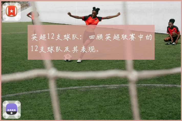 英超12支球队：回顾英超联赛中的12支球队及其表现。