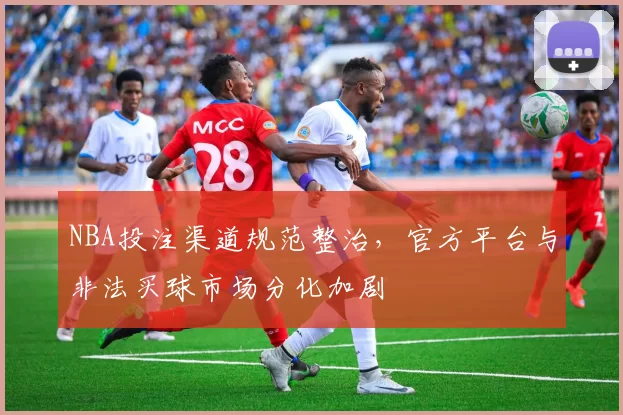 NBA投注渠道规范整治，官方平台与非法买球市场分化加剧