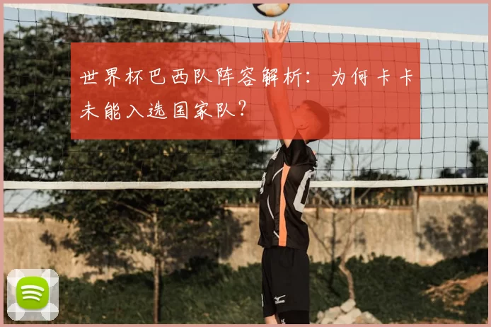 世界杯巴西队阵容解析:为何卡卡未能入选国家队?