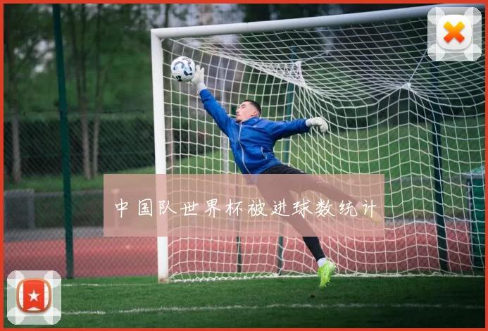 中国队世界杯被进球数统计