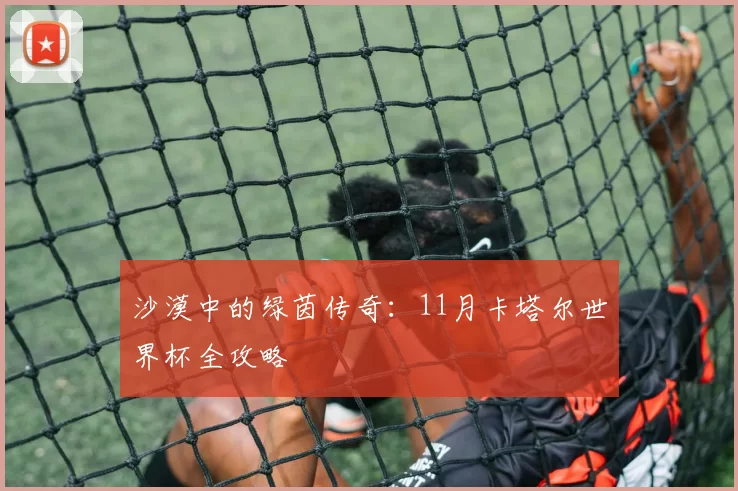 沙漠中的绿茵传奇：11月卡塔尔世界杯全攻略