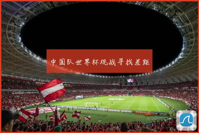 中国队世界杯观战寻找差距