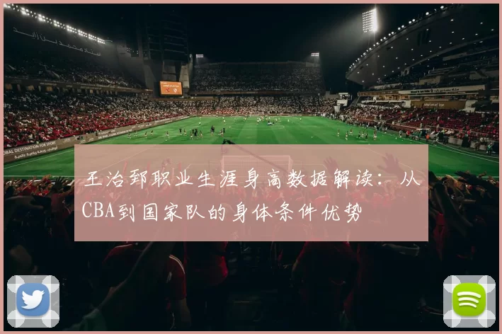王治郅职业生涯身高数据解读:从CBA到国家队的身体条件优势