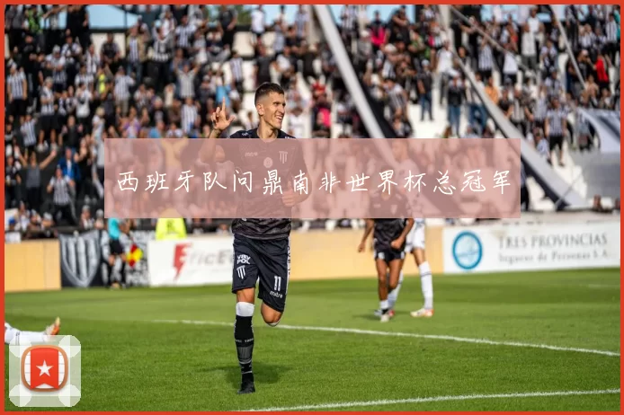 西班牙队问鼎南非世界杯总冠军