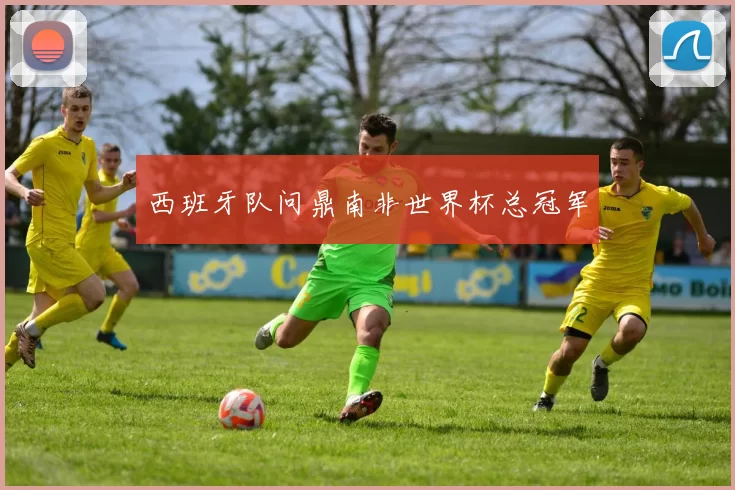 西班牙队问鼎南非世界杯总冠军