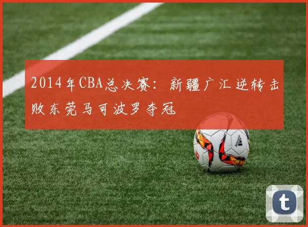2014年CBA总决赛：新疆广汇逆转击败东莞马可波罗夺冠
