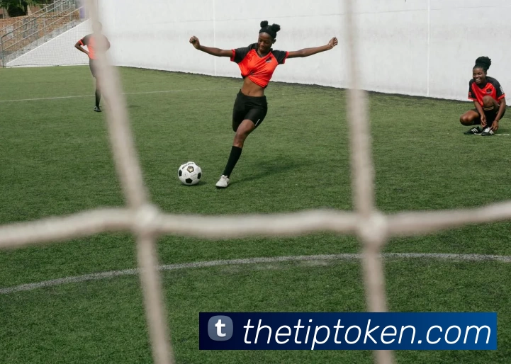 爱游戏官网平台生态图